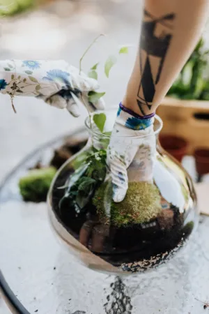 Creating A Terrarium