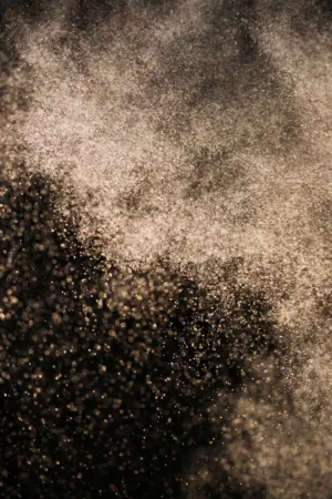 Explosion Of Dust Or Powder
