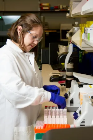 Scientist Working In Lab