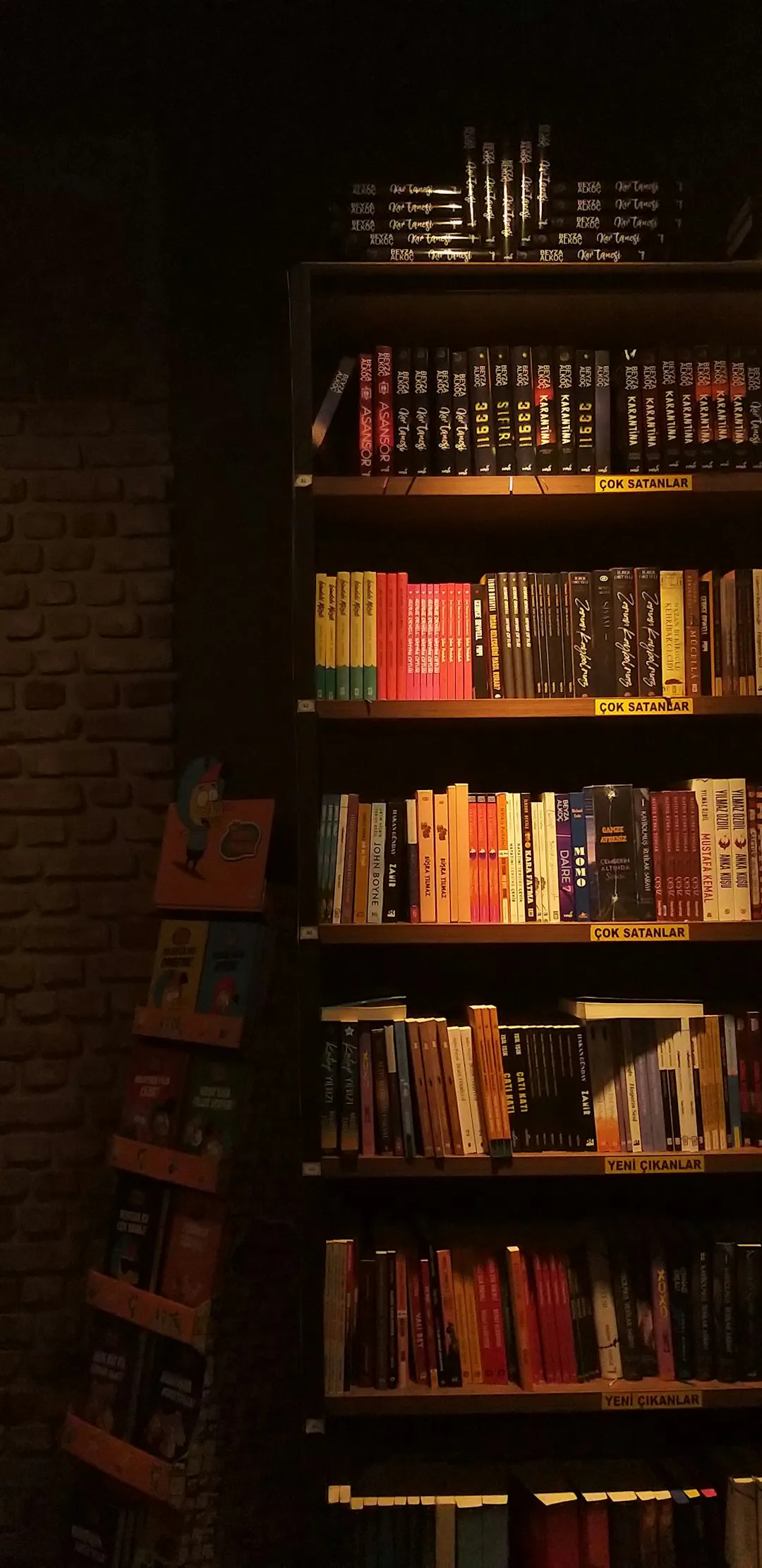 Bookshelf In A Cozy Room