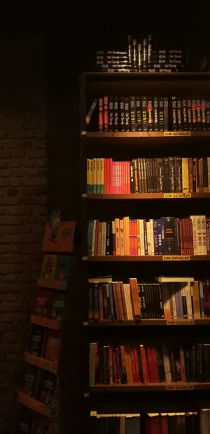 Bookshelf In A Cozy Room