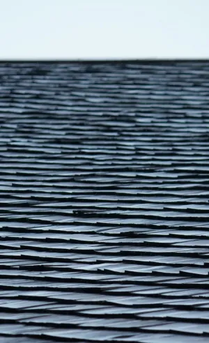 Rainy Day Roof