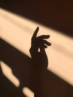 Hand Silhouette