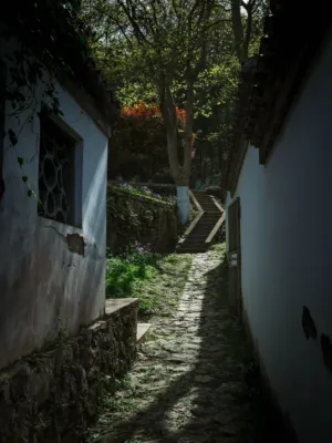 Ancient Pathway