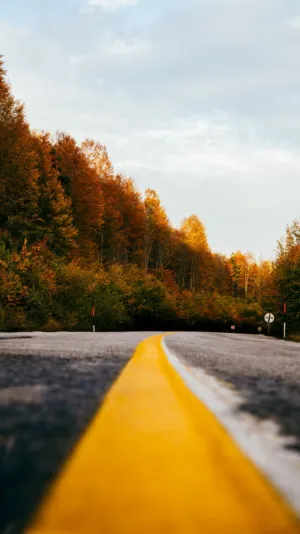 Autumn Road