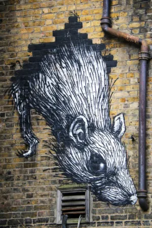 Hedgehog Street Art
