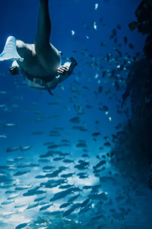 Underwater Adventure