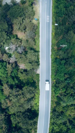 Road Through Forest