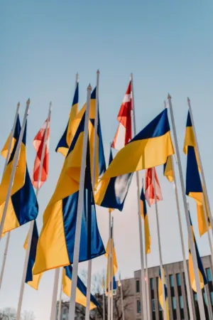 Flags Of Ukraine