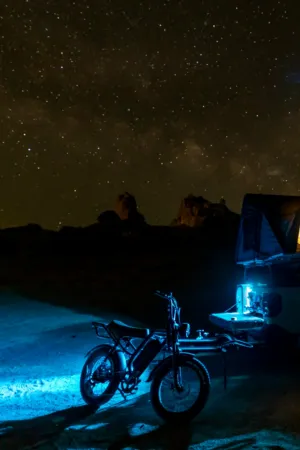 Nighttime Adventure