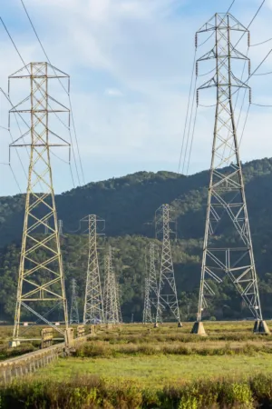 Power Lines In The Countryside