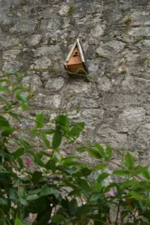 Birdhouse On A Stone Wall