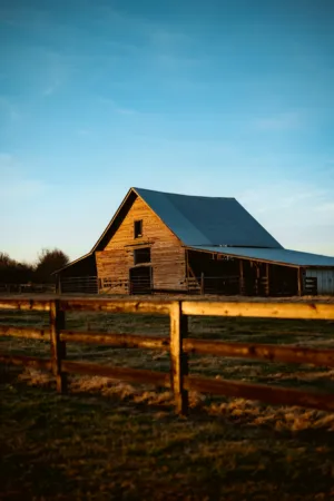 Sunlit Barn