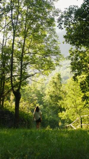 Forest Walk