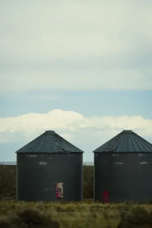Two Silos In A Field