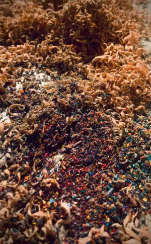 Pencil Shavings And Colored Dust