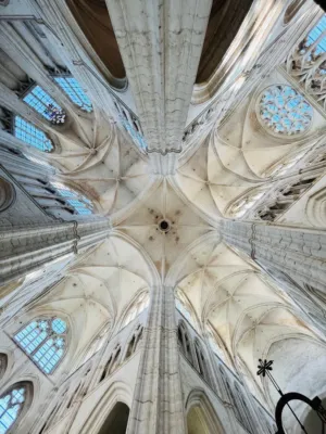 Cathedral Ceiling