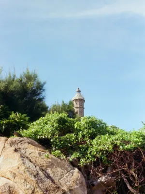 Lighthouse Amongst Nature