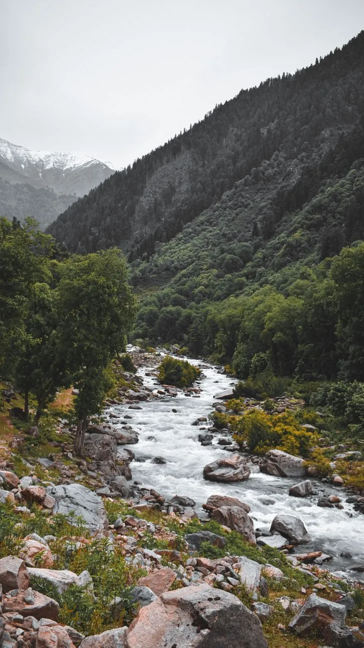 Mountain Stream