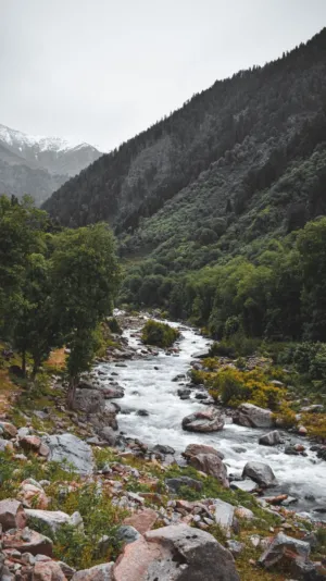 Mountain Stream