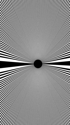 Black And White Optical Illusion Art