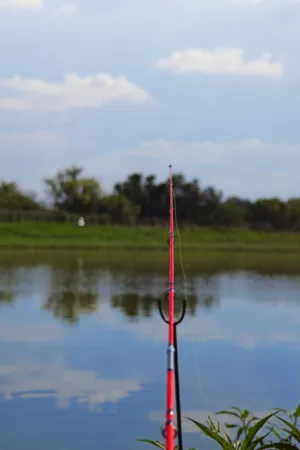 Fishing Rod By The Lake