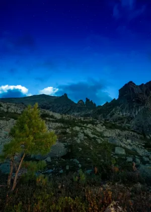 Mountain Night