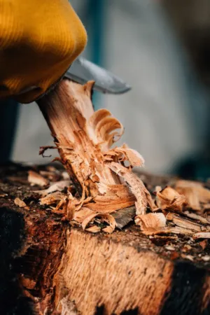 Wood Carving