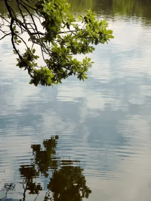 Reflections On Water