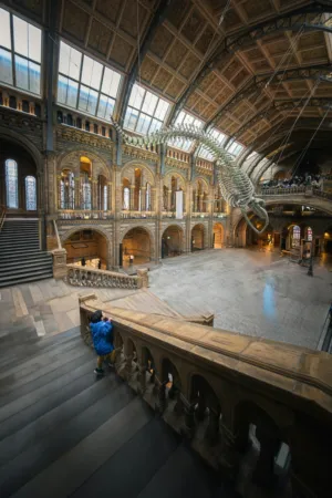 Natural History Museum Interior