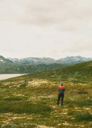 Solitude In The Mountains