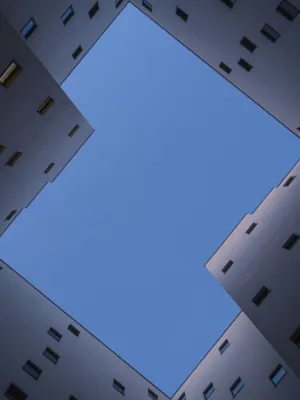 Skyward View