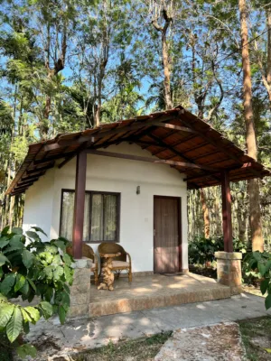 Cabin In The Woods
