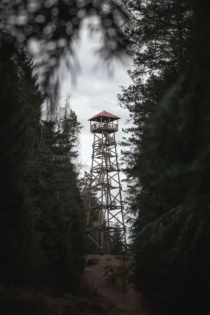 Forest Watchtower