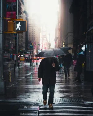 Rainy City Street