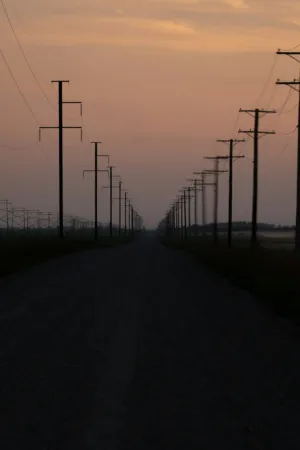 Silhouetted Power Lines At Sunset