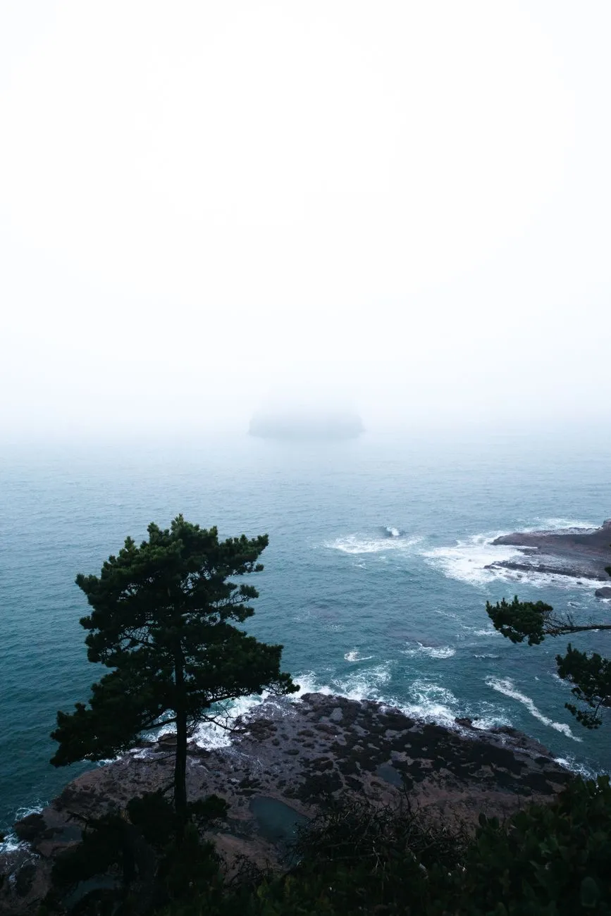 Misty Coastal Landscape