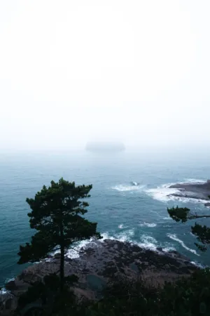 Misty Coastal Landscape