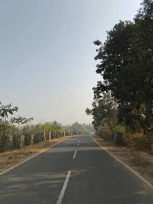 Sunlit Country Road