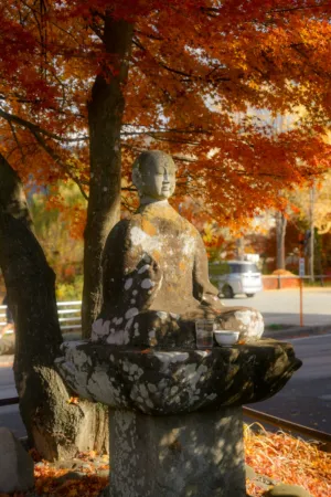 Autumnal Buddha Statue