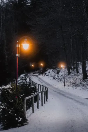 Winter Pathway With Street Lights