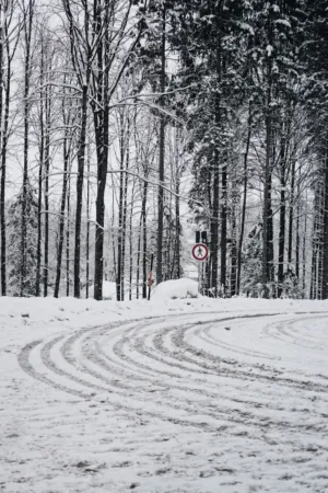 Snowy Forest Road