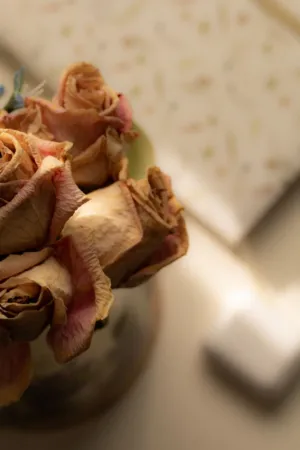 Dried Roses