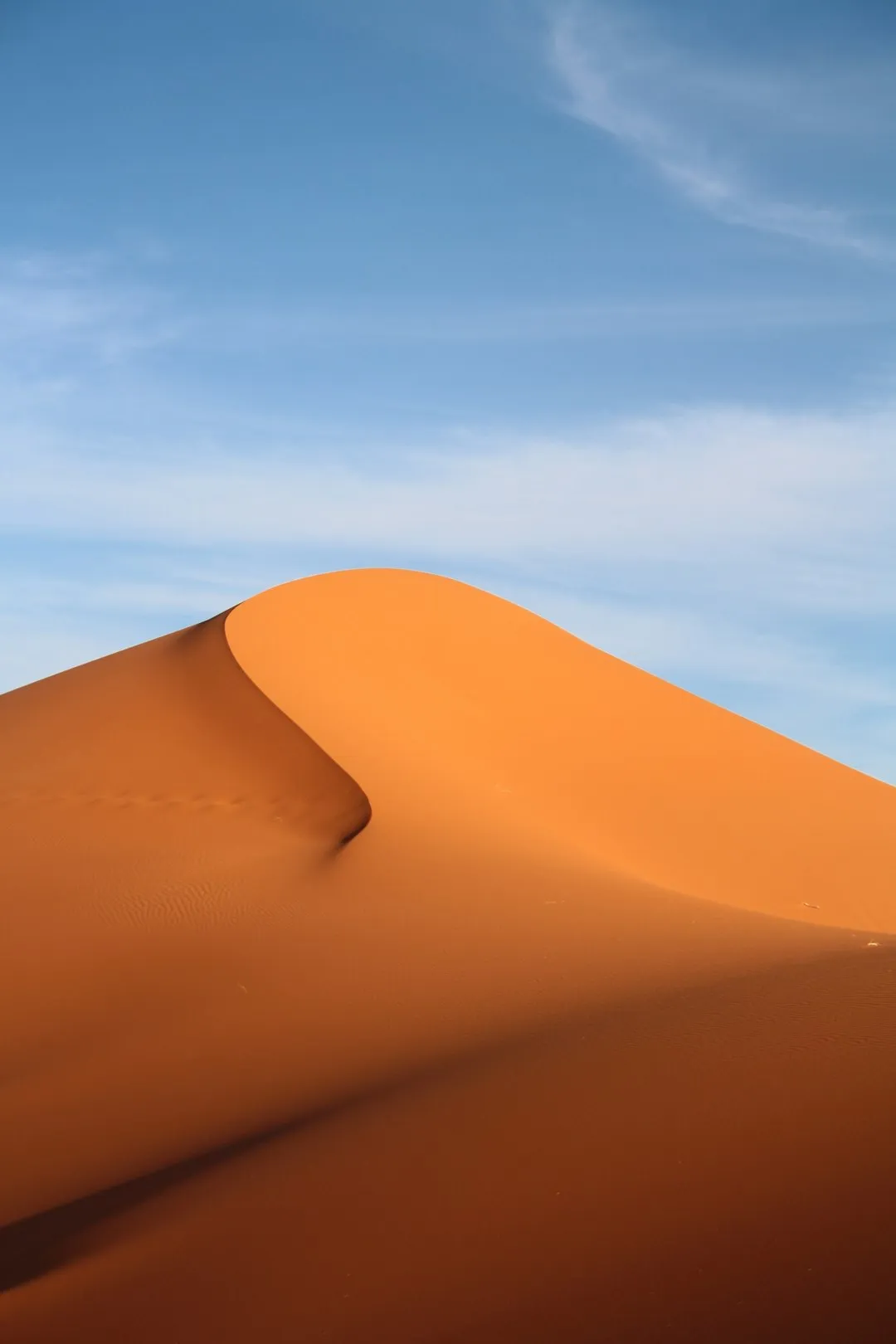 Desert Dune