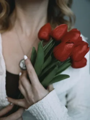 Red Tulips