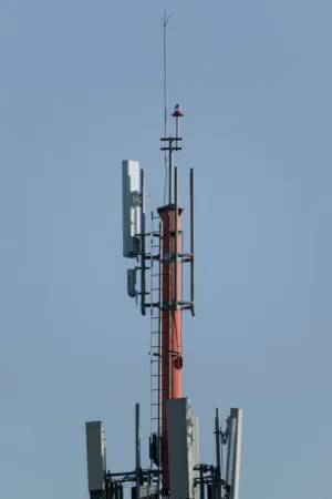 Cell Tower