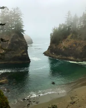 Foggy Coastal Landscape