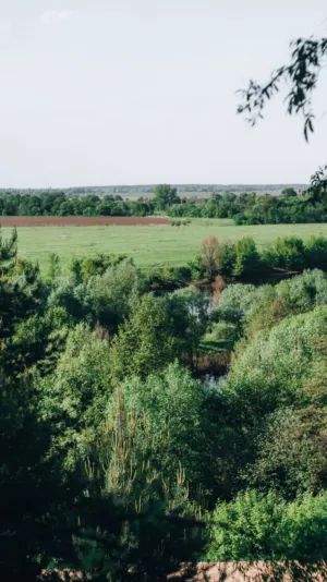 Green Landscape