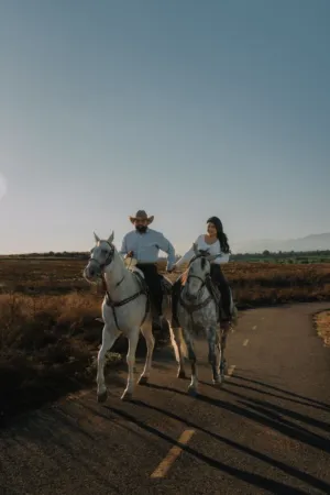 Horseback Riding In The Sunset
