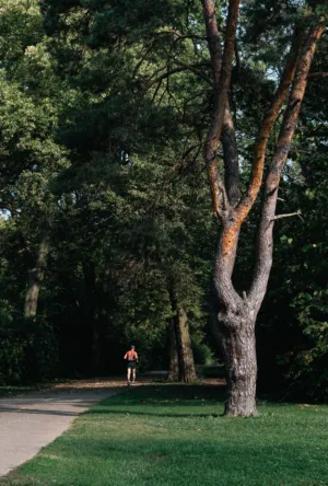 Park Runner